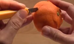 A mandarin és a bűvös kocka – A nap videója