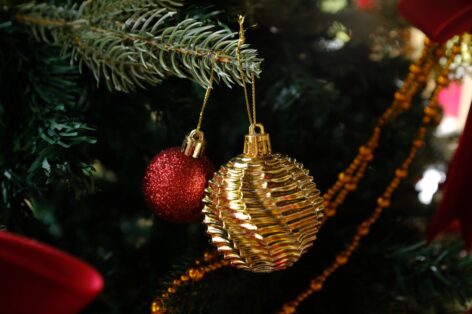 Artisanal parlor sugar has never been so expensive – a box can cost up to 31 thousand forints