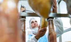 Felvásárolja a Bell Food Group a Hermann Weint és átalakítja termelési struktúráját