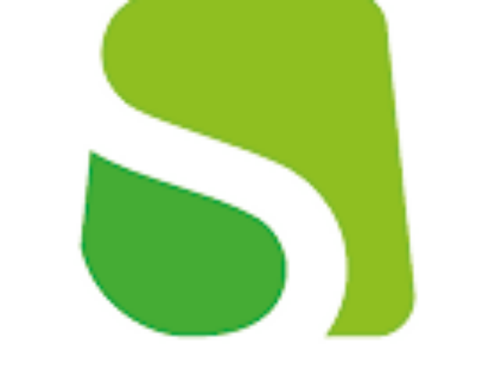 Nyomás alatt a magyar webshopok