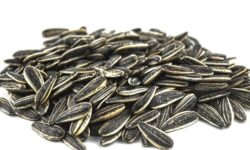 12 százalékkal nőtt az ipari napraforgómag ára egy év alatt