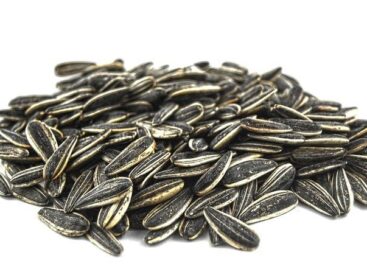 12 százalékkal nőtt az ipari napraforgómag ára egy év alatt