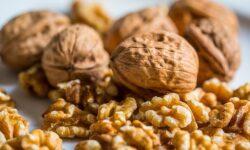 Termésmennyiségben gyengébb, de minőségében elfogadható év: diópiaci kitekintés 2025