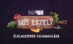 What are you eating today? – Focus on food packaging