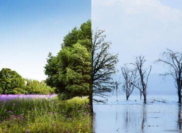 Profit hőmérsékleten – 3 klímatrend, amely átrajzolja a gazdaságot
