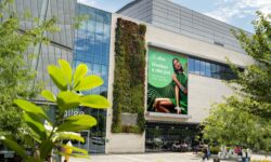 Világszinten is példaértékű az Allee működése fenntarthatósági szempontból