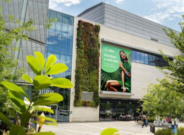 Allee’s operations are exemplary in terms of sustainability at a global level