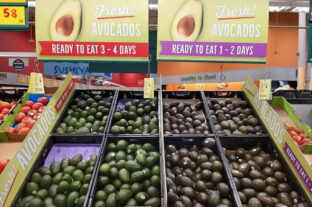 Avokadó van és lesz! – A nap képe