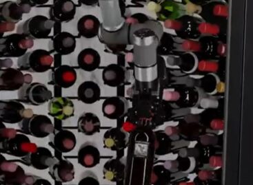 Palackosbor-vending – A nap videója