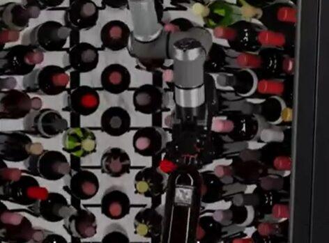 Palackosbor-vending – A nap videója