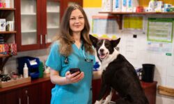 Elindult a magyar fejlesztésű PetWiseCare applikáció