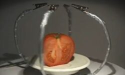 (HU) Trans Formers – A nap videója