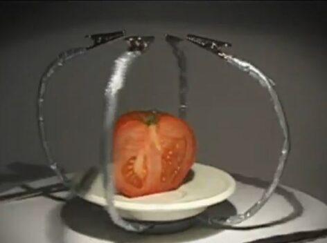 Trans Formers – A nap videója