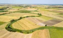 Víztükör: vízmegtartó megoldások a természettel összefogva