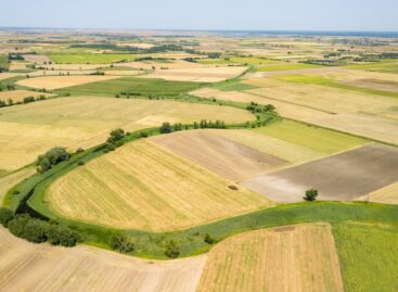 Víztükör: vízmegtartó megoldások a természettel összefogva