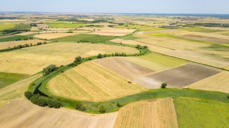 Víztükör: vízmegtartó megoldások a természettel összefogva