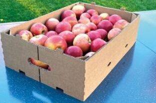 New, sustainable corrugated board box from Dunapack – a modern solution for fruit and vegetable packaging