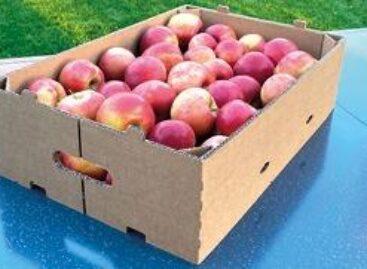 New, sustainable corrugated board box from Dunapack – a modern solution for fruit and vegetable packaging