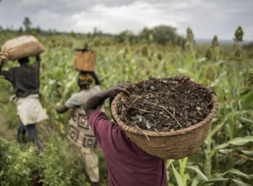 Új FAO kiadvány emlékeztet az élelmiszer-termelés erőforrásainak végességére