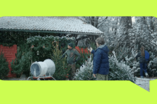 Recent research: Hungarians believe these are essential parts of Christmas