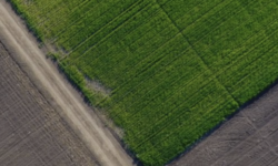 Újabb földterületek megvásárlására nyílik lehetőség
