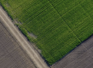 Újabb földterületek megvásárlására nyílik lehetőség