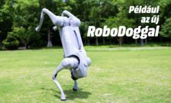 Pacsi a jövővel: robotkutya költözött a Westendbe