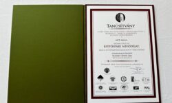 Három díjjal ismerték el a Market Csoport szakmai kiválóságát az ÉVOSZ évzáró gáláján