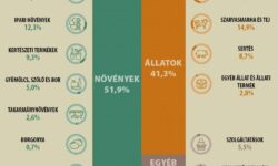 A mezőgazdasági kibocsátás értéke várhatóan mintegy 6 százalékkal emelkedik 2025-ben