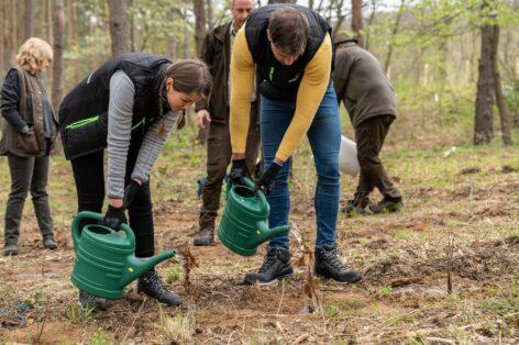 Piacvezető szerepben a fenntarthatóság terén is: megjelent a Market Csoport 2024-es ESG jelentése