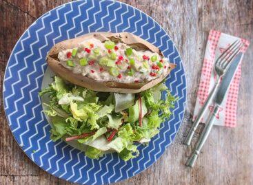 Dairy-, gluten- and added sugar-free dishes: aesthetically pleasing and quick