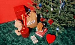 Christmas tree shopping is also going digital: demand for online ordering is growing rapidly