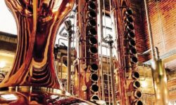 Flavours shaped by music