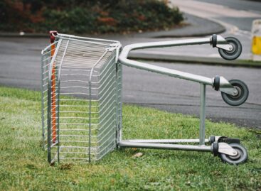 Same basket, different purchasing power: Lidl price test highlights European differences