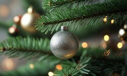 Too many gifts, too much food: our holiday excesses are putting a serious strain on the environment