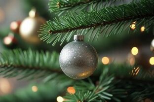 Too many gifts, too much food: our holiday excesses are putting a serious strain on the environment