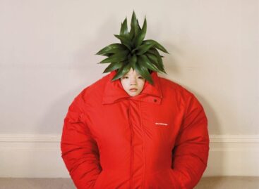 Az vagy, akit megeszel – A nap képe