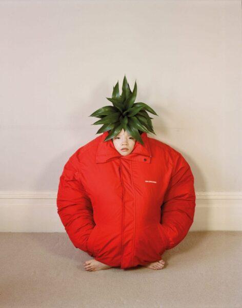 Az vagy, akit megeszel – A nap képe