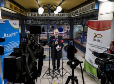 Lesz elegendő magyar hal minden család asztalára