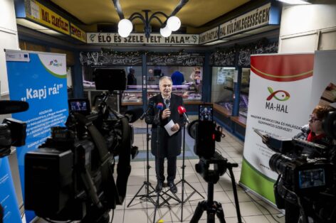 There will be enough Hungarian fish for every family’s table