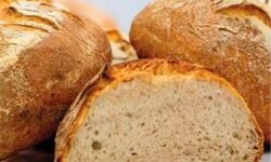 Göröngyös úton, jó irányban