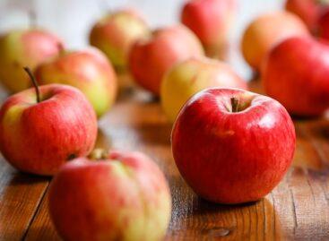 Jelentősen drágább lett az alma Magyarországon