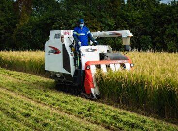 Kína új lendületet ad a gabonatermelésnek