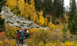 Eredményes évet zárt a Columbia első Hike Society programja