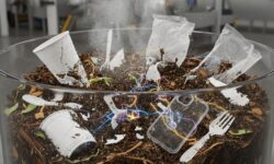 How do plastics become soil killers? What should we pay attention to at Christmas to curb plastic dumping?