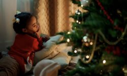 Christmas tree prices will increase by 10-15 percent this year