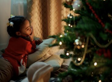 10-15 százalékkal drágul a karácsonyfa idén