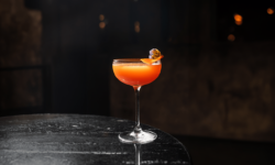 A return to the basics of classic bar culture: the Lazy Lion bar has opened in Adria Palace