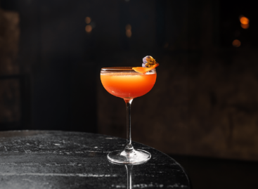 A return to the basics of classic bar culture: the Lazy Lion bar has opened in Adria Palace