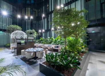 Akár harmadára is csökkenthető az energiaköltség a magyar fejlesztésű LED-rendszerrel